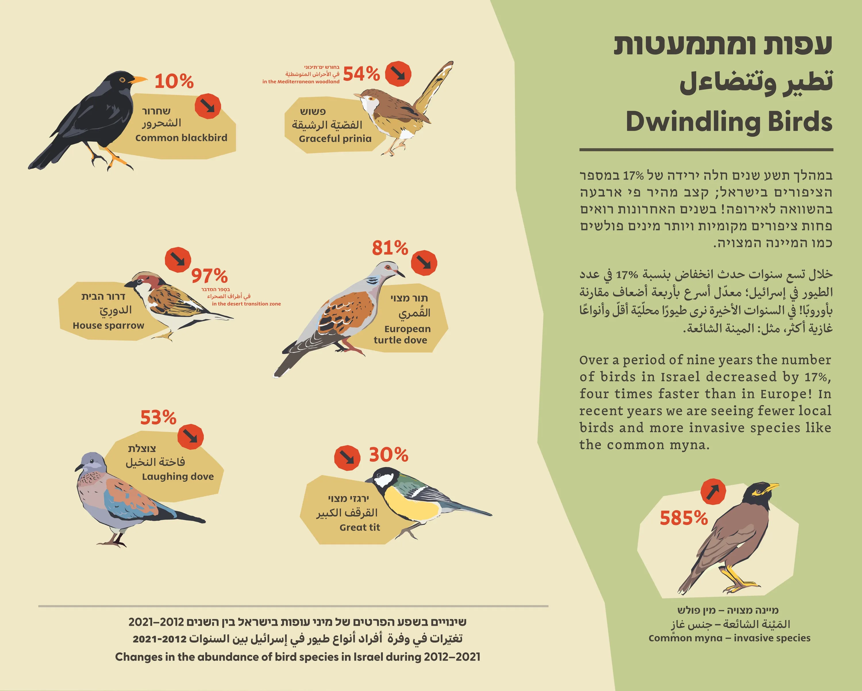 Exhibition panel “Dwindling Birds”: illustrated species with their population change, in Hebrew, Arabic and English
