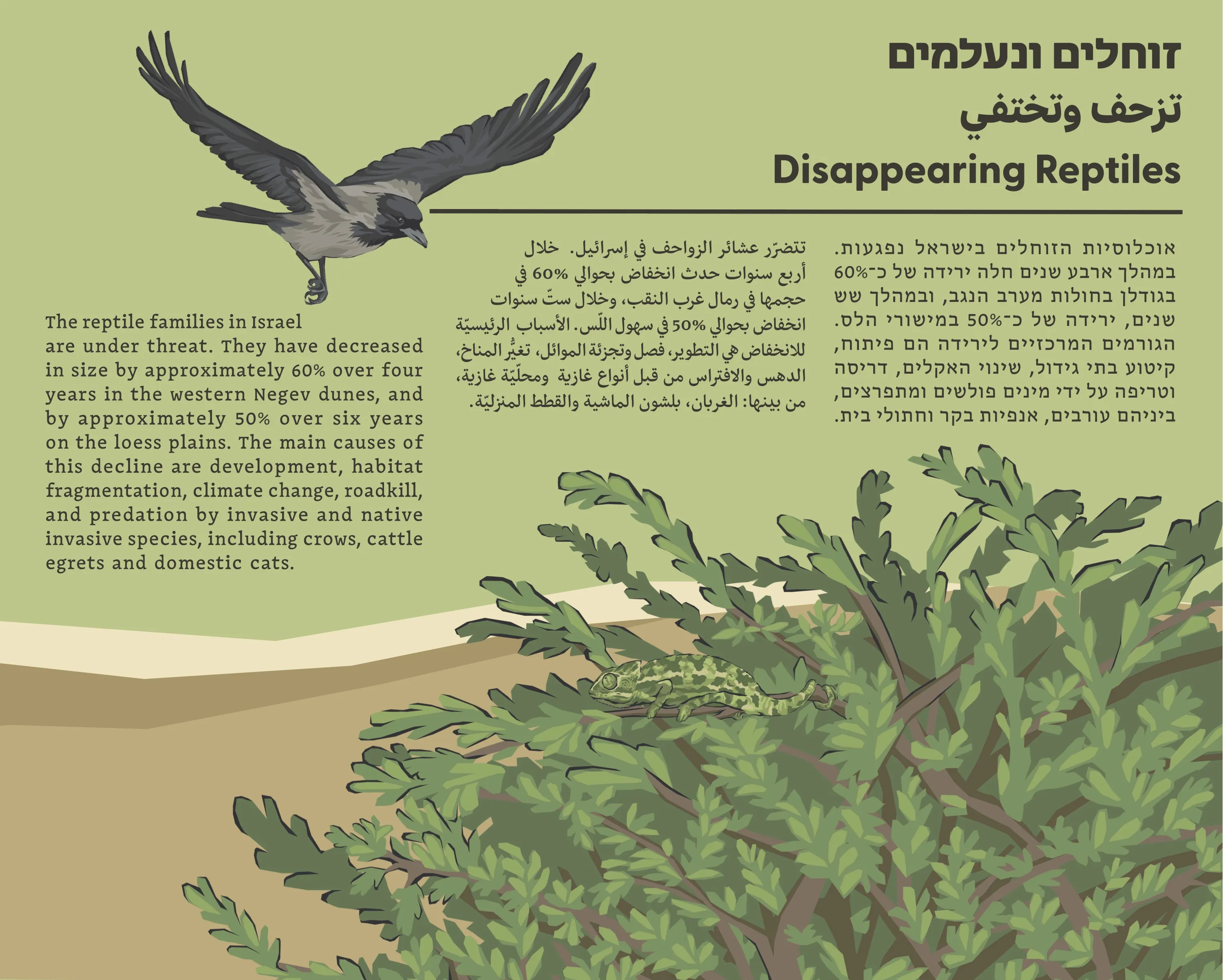 Exhibition panel “Disappearing Reptiles”: a bird of prey over coastal dunes