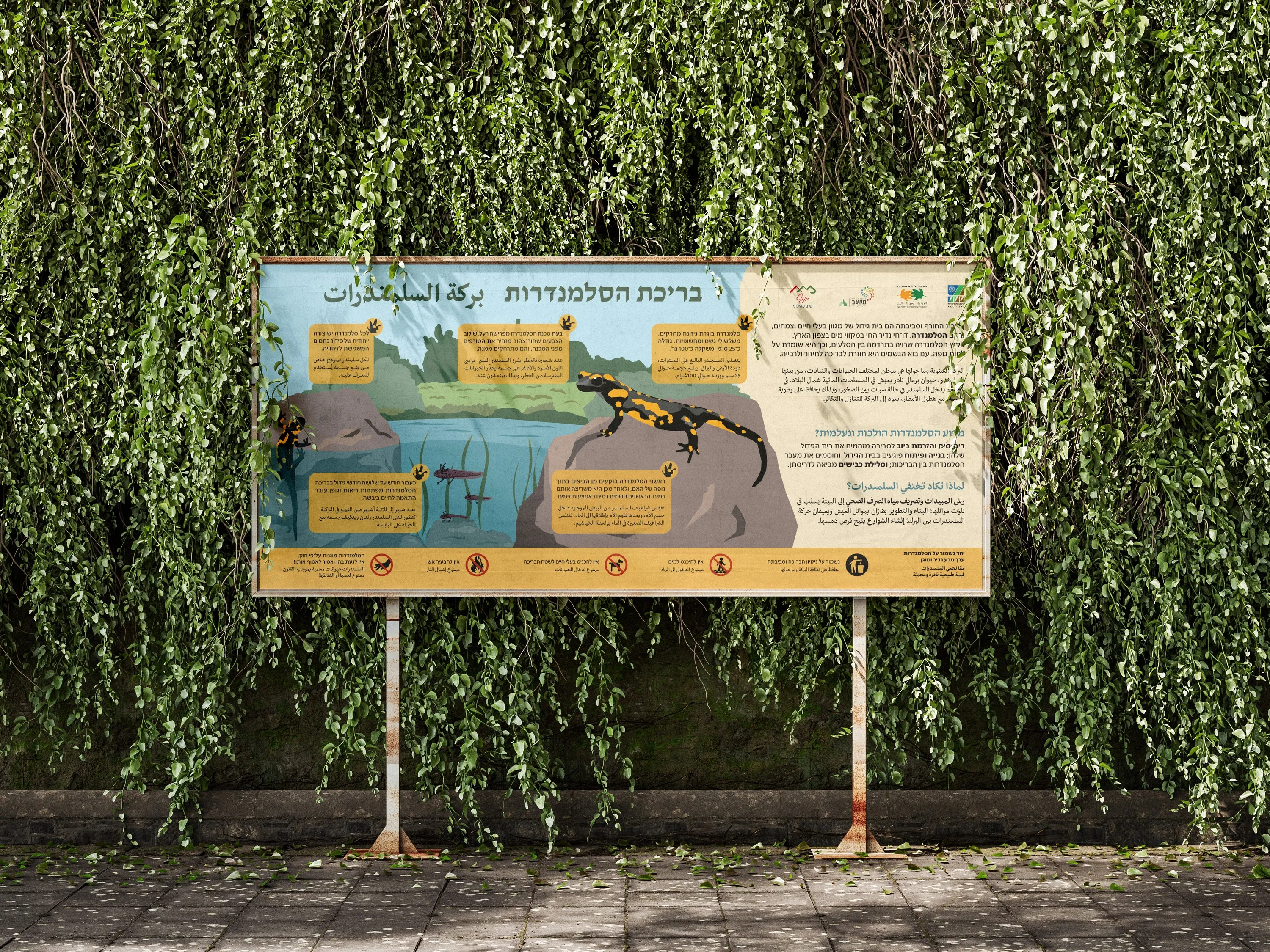 Trilingual interpretive sign for the salamander pool, illustrated with the pool and its salamanders, set against an ivy-covered wall