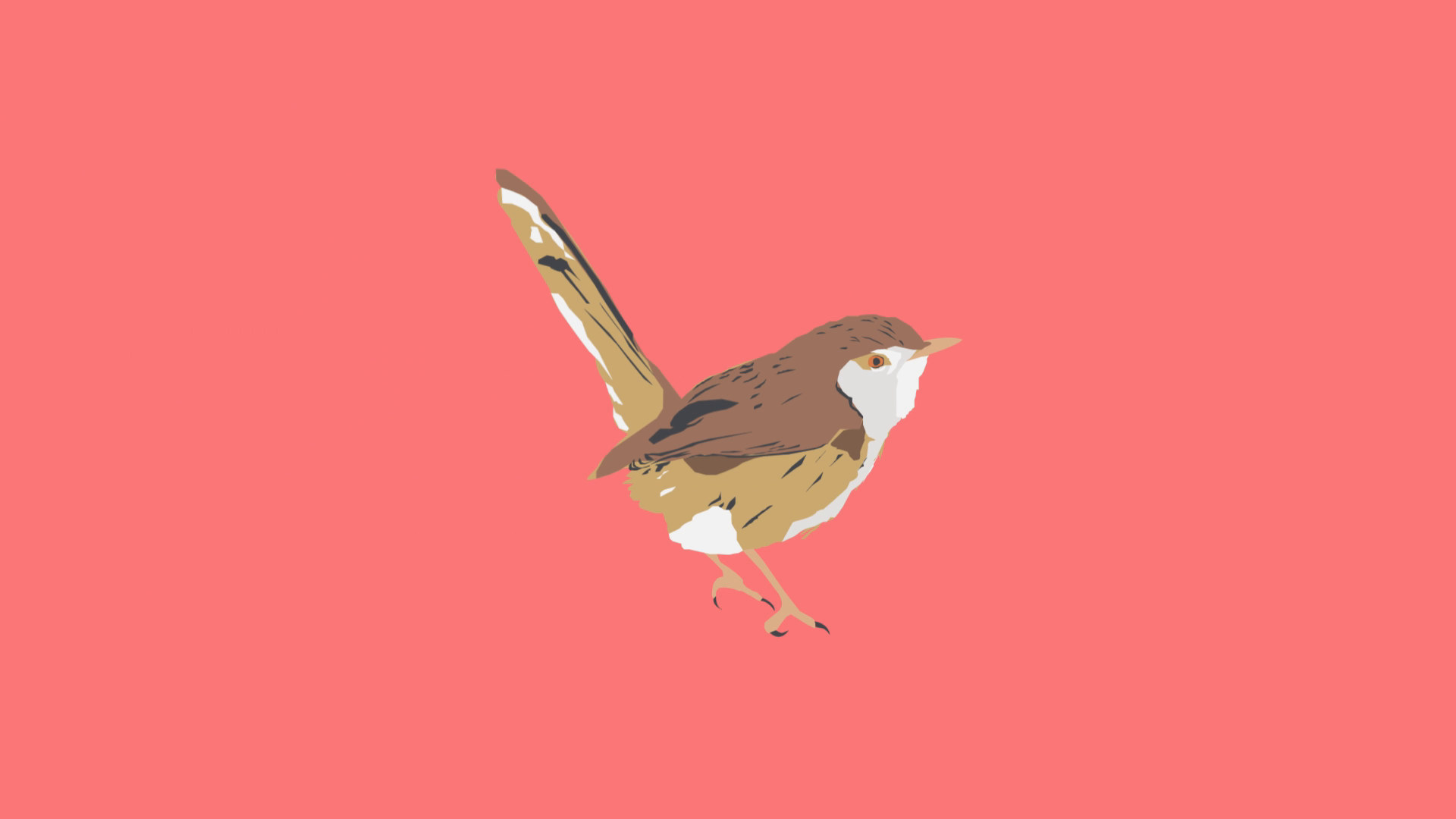 An illustrated graceful prinia hopping across a coral background
